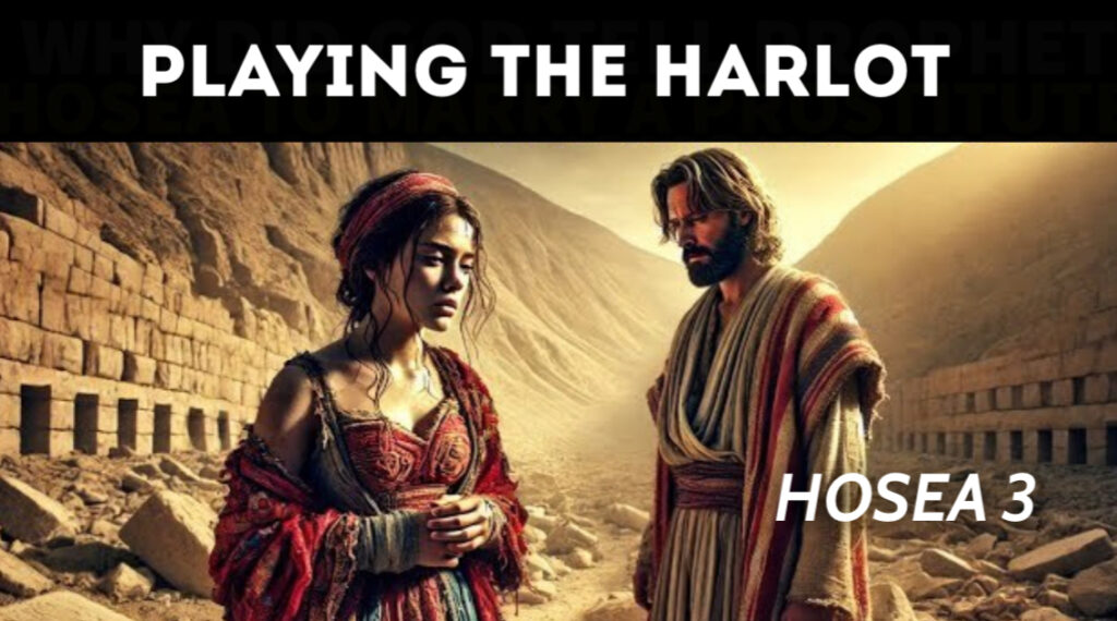 Playing the Harlot