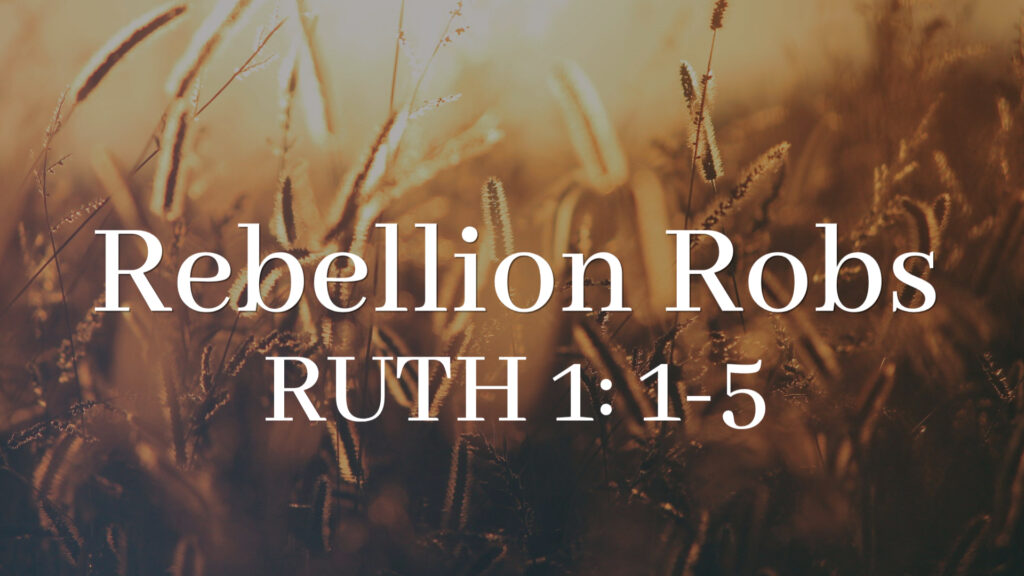 Rebellion Robs