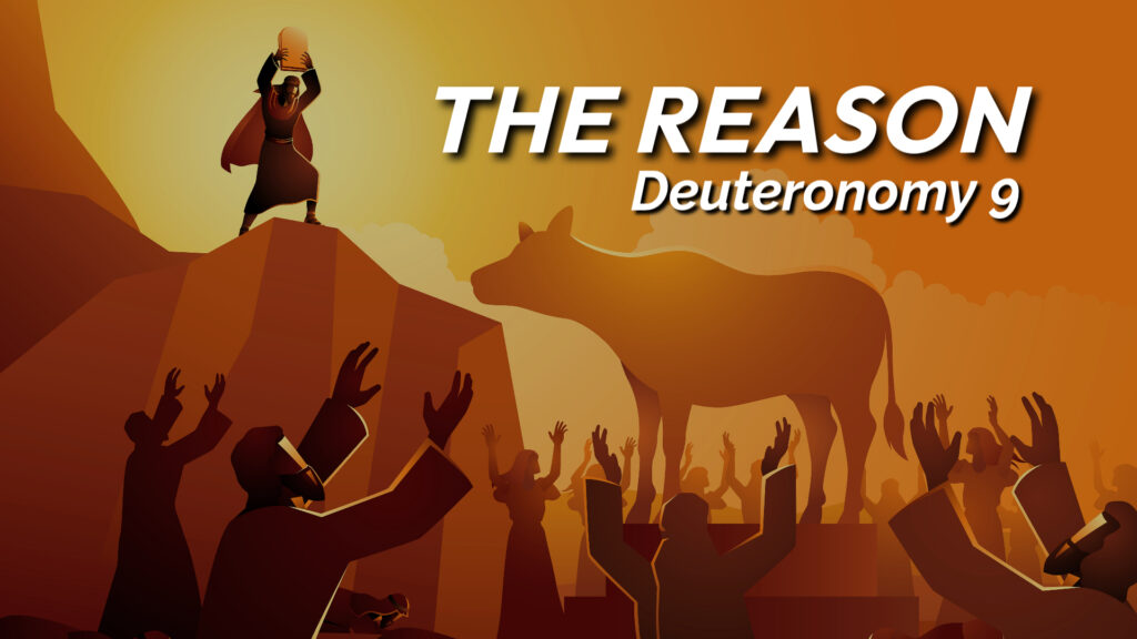 The Reason