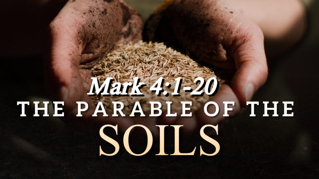The Parable of the Soils
